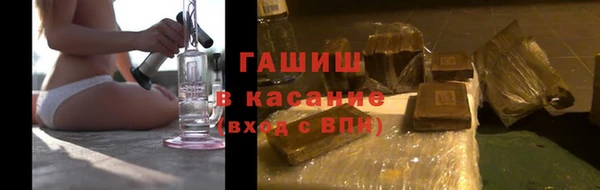 сатива Горно-Алтайск