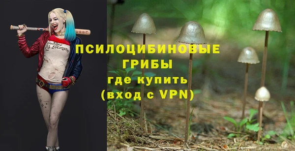 скорость Горняк