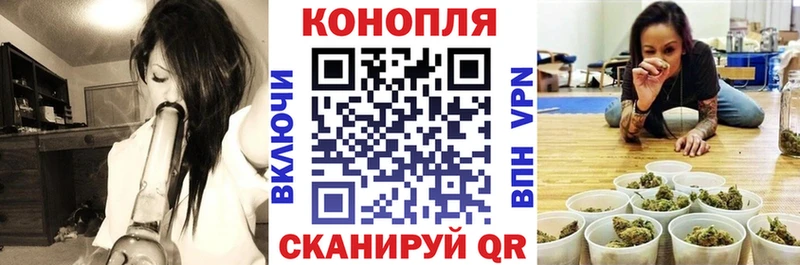 Купить закладки  Петровск  Каннабис семена 